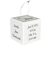 Baby's 1st Christmas Block Ornament- Script Font 